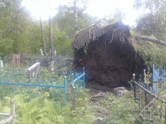 На фото — Ильинское кладбище. Последствия августовского шторма.